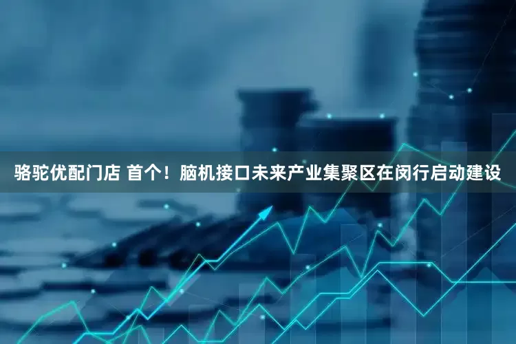 骆驼优配门店 首个！脑机接口未来产业集聚区在闵行启动建设