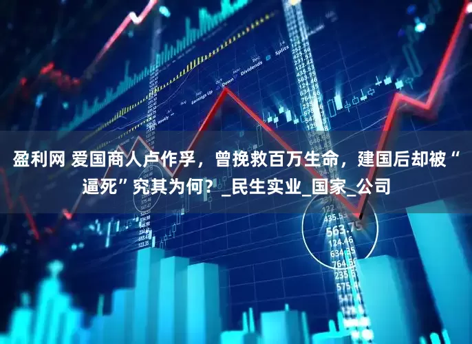 盈利网 爱国商人卢作孚，曾挽救百万生命，建国后却被“逼死”究其为何？_民生实业_国家_公司