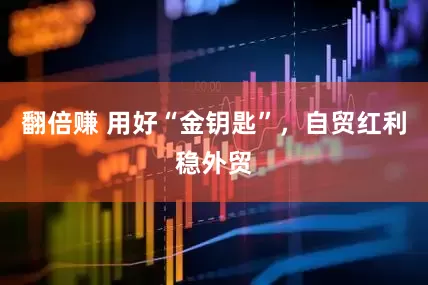 翻倍赚 用好“金钥匙”，自贸红利稳外贸