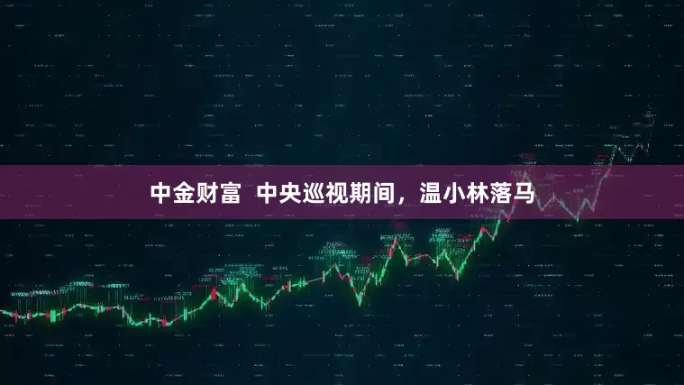 中金财富  中央巡视期间，温小林落马