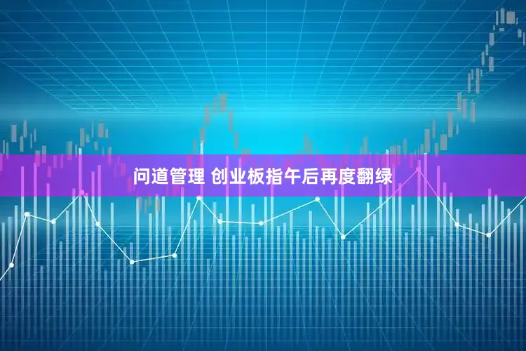 问道管理 创业板指午后再度翻绿