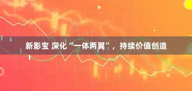 新影宝 深化“一体两翼”，持续价值创造
