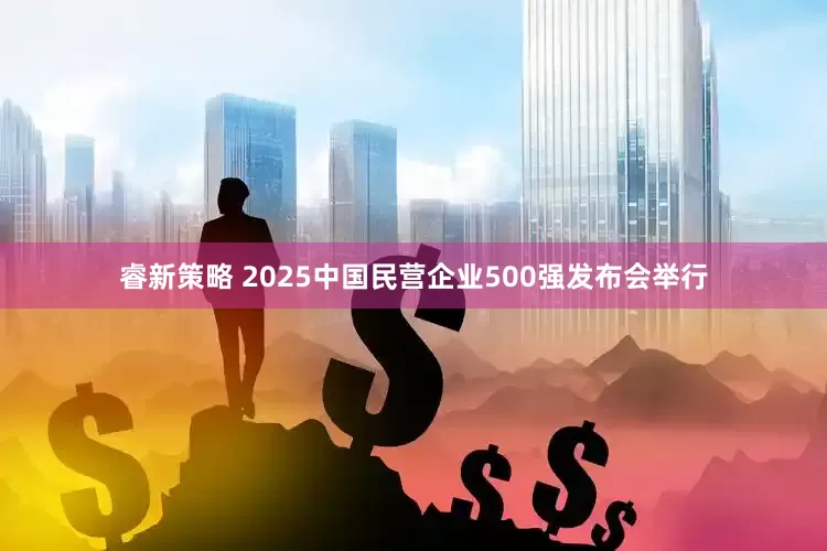 睿新策略 2025中国民营企业500强发布会举行